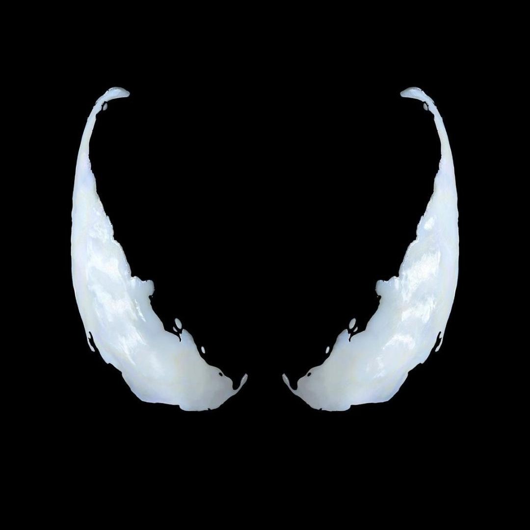 bladethreeblade's tweet photo. #NewProfilePic https://t.co/N8UYo56zkX