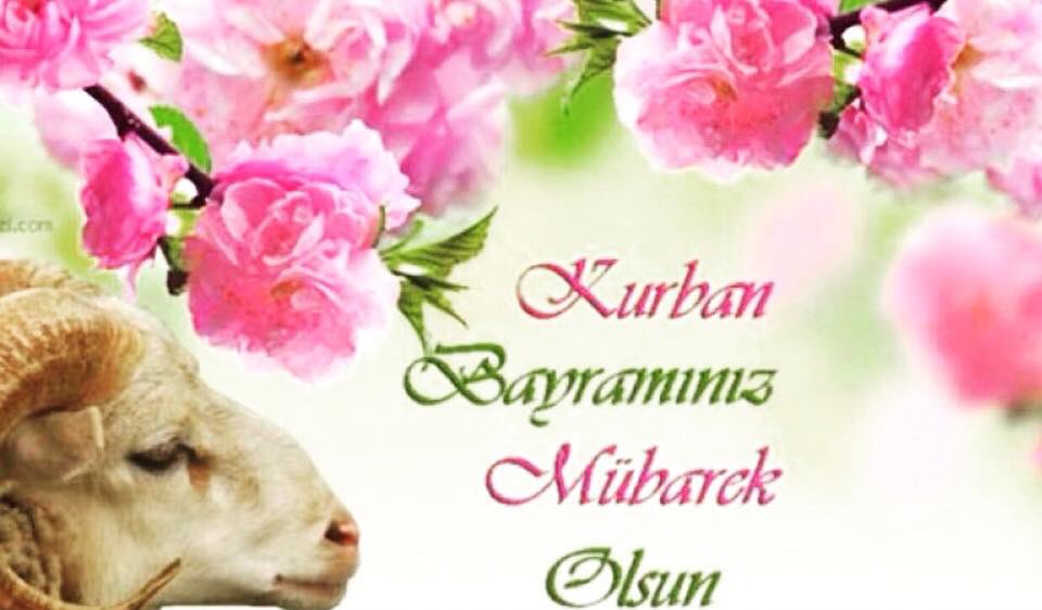 Kağıthane Belediyesi Kent Konseyi Kadın Meclisi (@kag_kad) on Twitter photo 