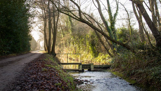 De Amsterdamse grachten zijn wereldberoemd, maar heb je weleens van de Gooyergracht gehoord? 🤔 Deze gracht loopt van Eemnes naar het Eemmeer en vormt daar ook de grens tussen Noord-Holland en Utrecht. https://t.co/GAPe62ykRk