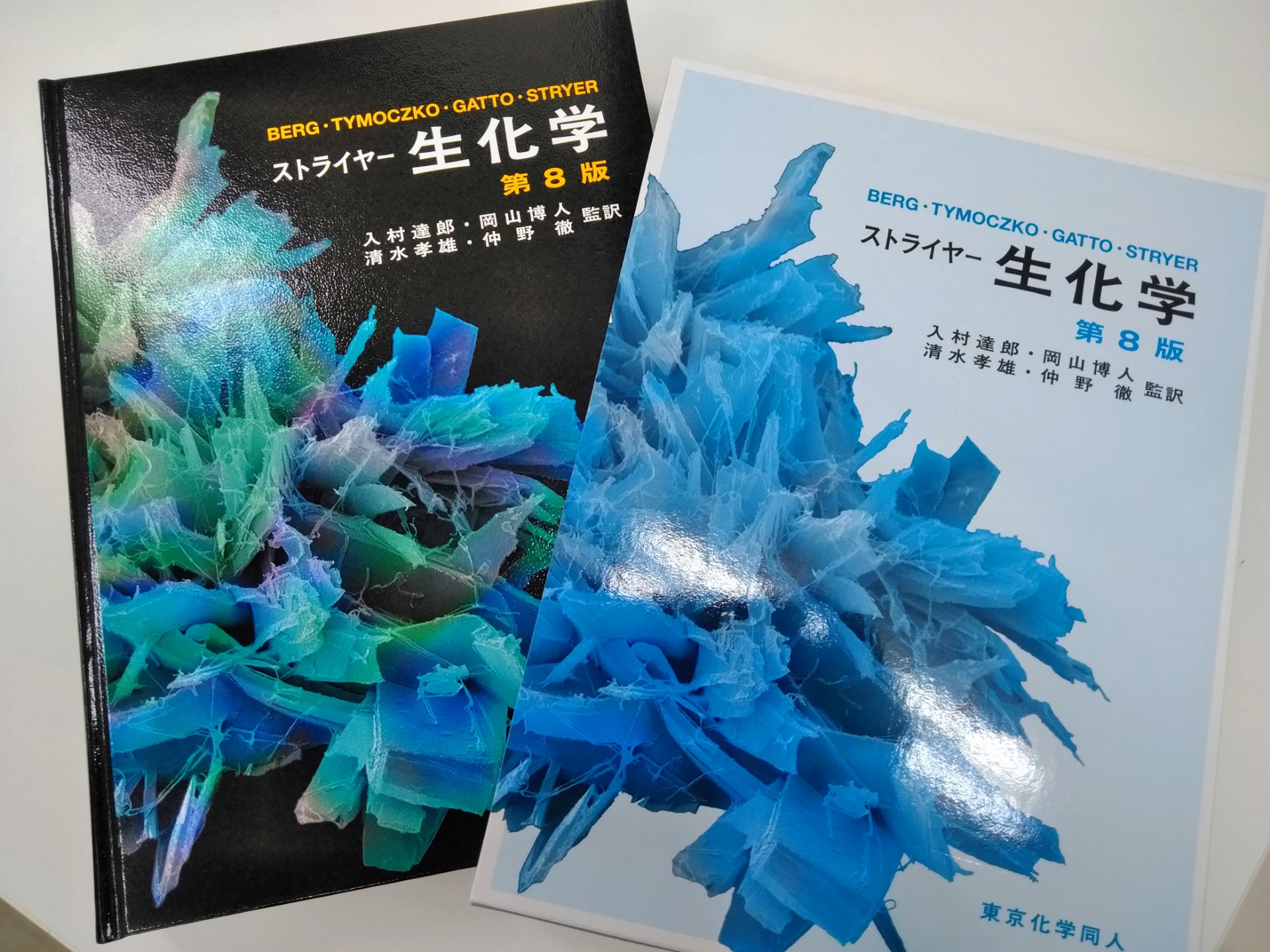 ストライヤー生化学 第8版 - コンピュータ/IT ストライヤー生化学 第8版 - コンピュータ/IT