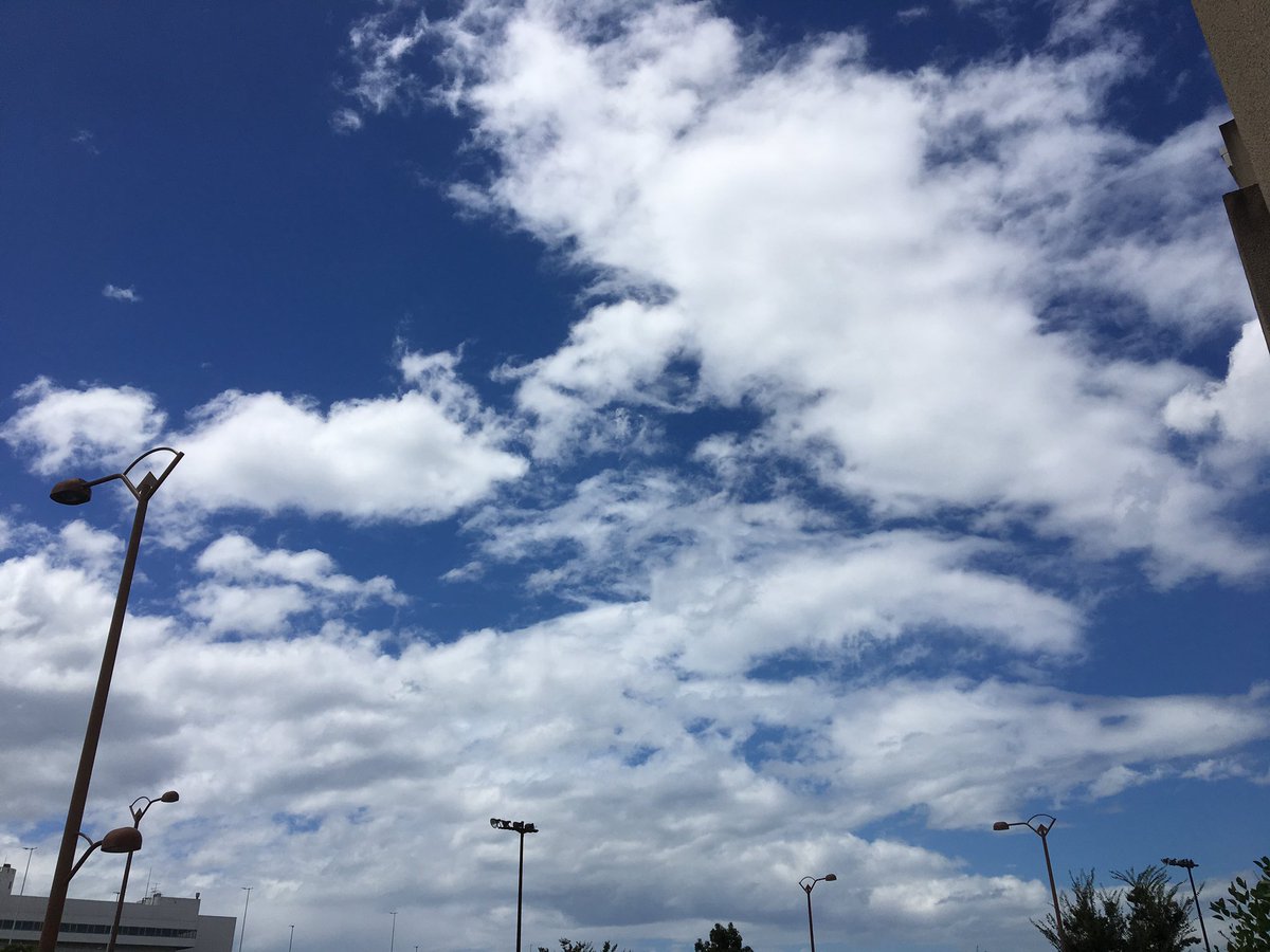 南は晴れ空 南は晴れ空