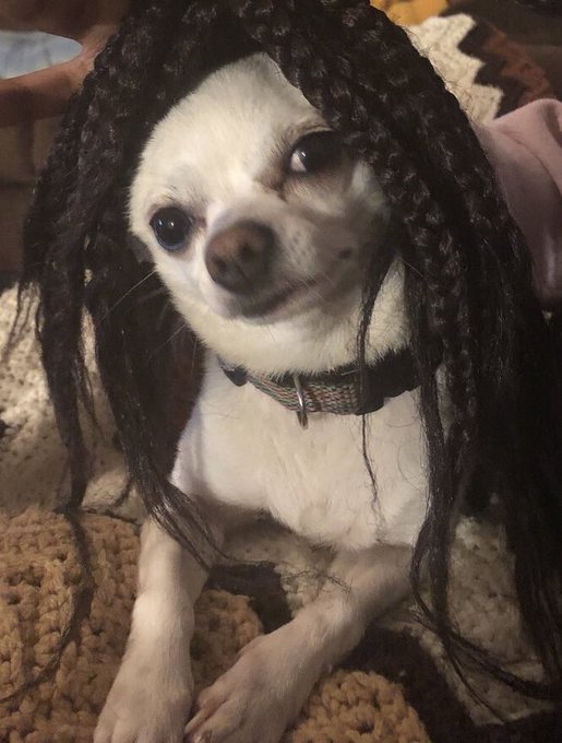 View image on Twitter