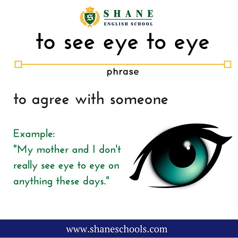 Shane English School What Other Idioms Do You Know For Agreeing With Someone Learnenglish Vocabulary Idioms Phrases