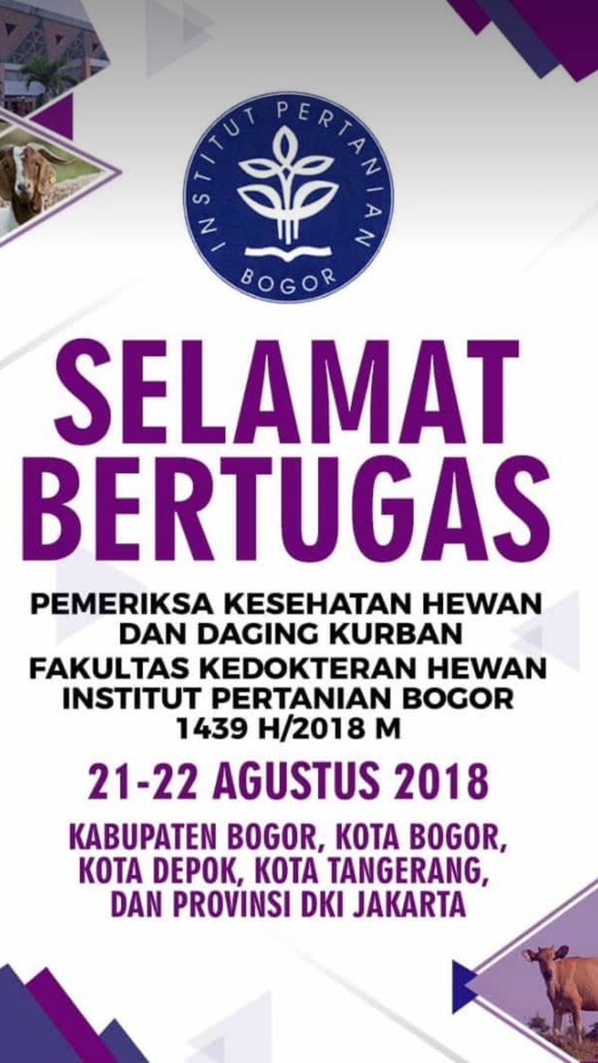 QuietAndSoft's tweet photo. Happy ied mubarak https://t.co/OyGJFJiSQb