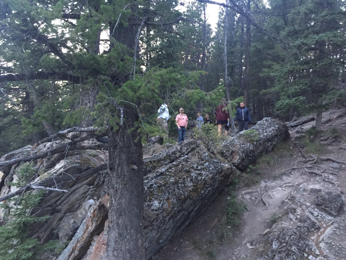 RESACS_WS's tweet photo. #RESACS2018 is now concluded, after tasty dinner, exciting and fun discussions and a brief hike to a nearby vantage point. Thanks to everyone, who made this year’s workshop a success: participants, authors, presenters, and of course the program committee. See you next year! #RE18 https://t.co/mTe7WMbQQN