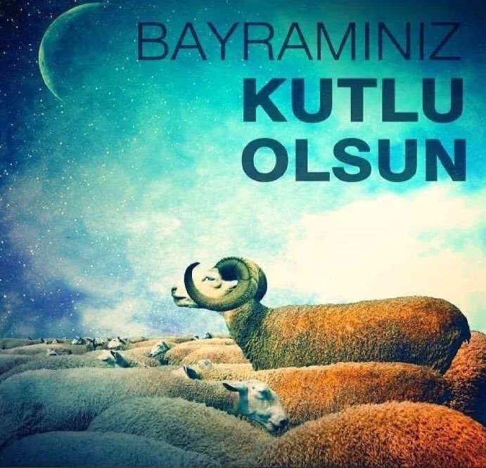 Mehmet Ali Aslan tweet media