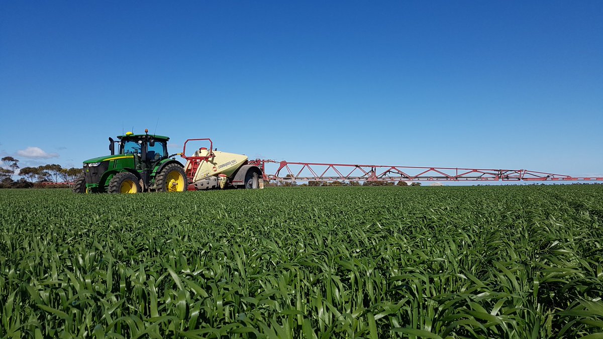 Tim Schulz tweet media