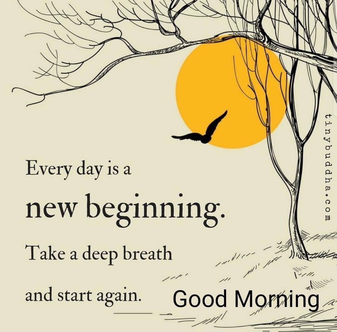 sdjoshi55's tweet photo. Good morning my twitter friends.. Have a lovely day today 🌹 https://t.co/LjtFT1CNQq