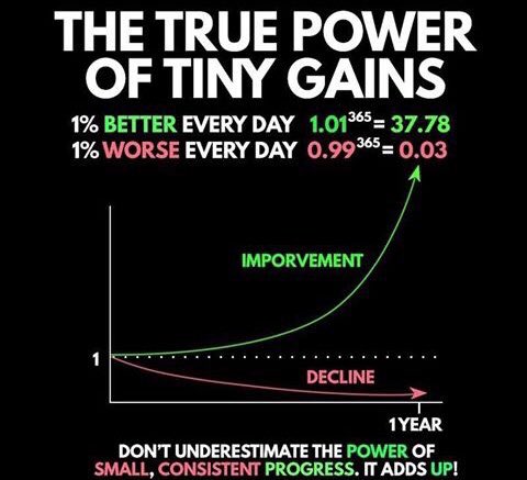 d1rtydan's tweet photo. The power of tiny gains https://t.co/xo177aizPo