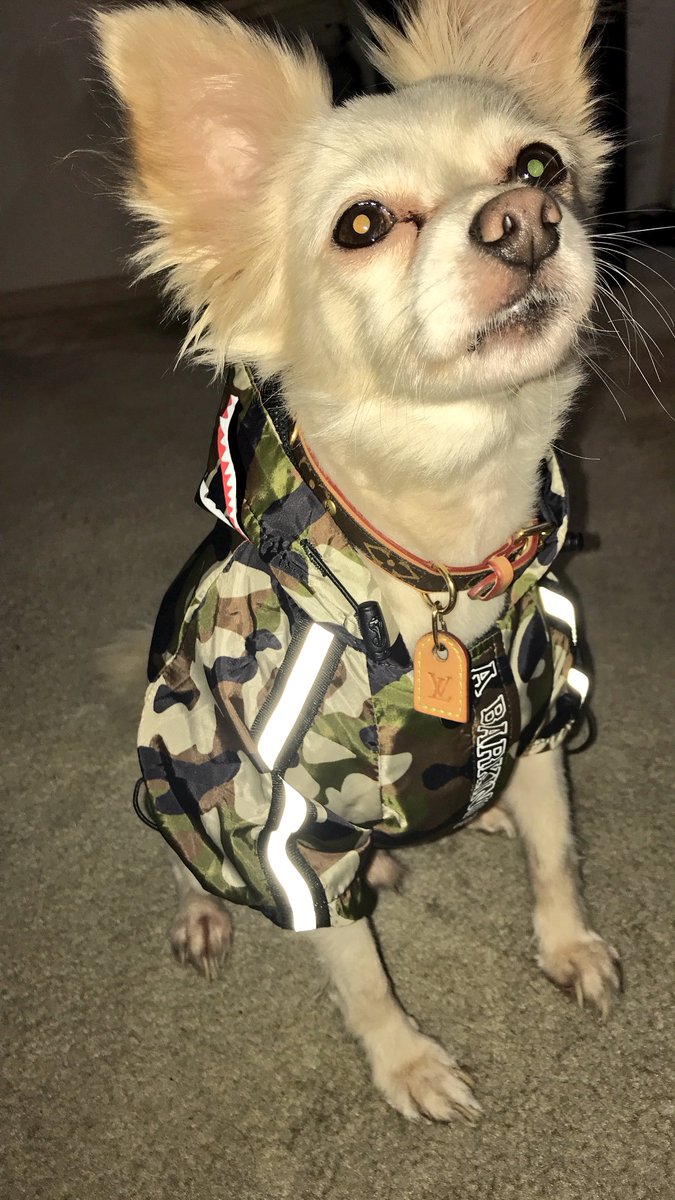 salmabaybee's tweet photo. MY SON GOT ALL THE SAUCE 🔥 https://t.co/a4vrtFGe0X