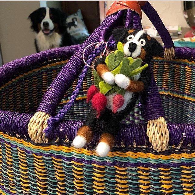 beatrixandmidge's tweet photo. We think this little Bernament looks perfect on this farmer’s market basket, and Mickey (in the background) seems to agree! Thanks for sharing @mabelle.mickey.bmd ❤️ #tomarkettomarket #bernament #handmade #feltedwool #berner https://t.co/2GThzFfw7A https://t.co/lCkZIMhORh