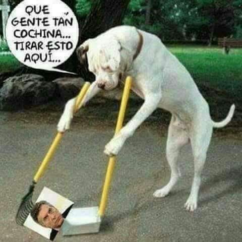 altocandombe's tweet photo. Hilo de Memes
El Mejor Hilo de Memes en Twitter !!!
#Humor
#HiloDeMemes
#AltoCandombe https://t.co/WimoIjqsZ0