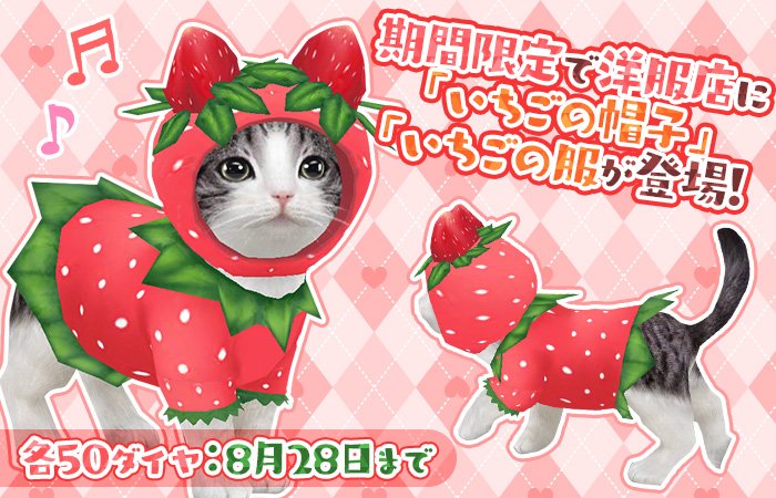 とってもキュート♪な「いちごの服」「いちごの帽子」が洋服店に期間限定で登場にゃ～♪
sp.age-corp.jp/tn/news/detail…
#てのニャン #猫