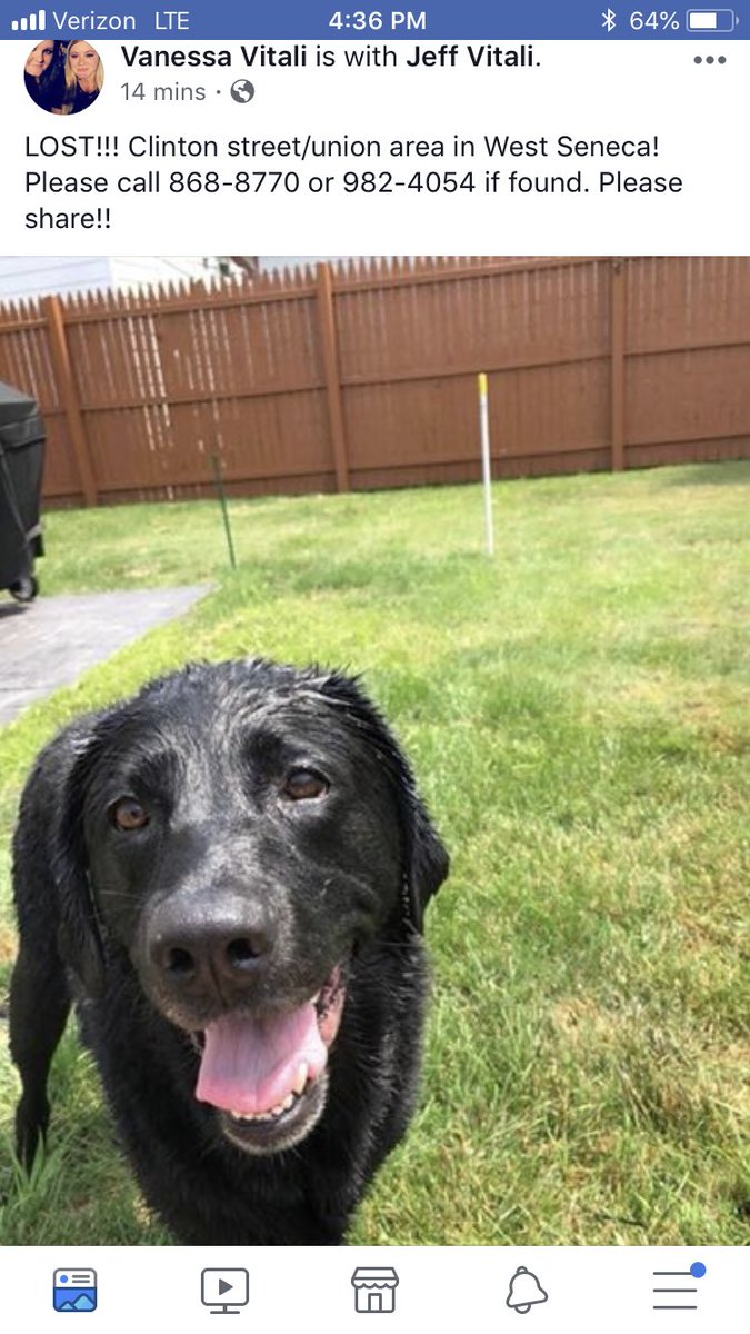 Vitali17's tweet image. HELP US FIND OUT LOST BOY!!!!

Went missing in West Seneca near Clinton and Harlem. Last spotted on Northwood Rd and near Northwood Elementary. His name is Austin and he’s a gentle giant. Big baby will most likely be scared.  

716-982-4054 or 716-868-8770
Any time day or night!