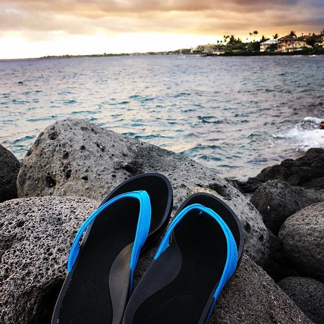 JulieZiemelis's tweet photo. Long ago, in a place called Silicon Valley, my friends would spend a fortune on their high heeled party shoes. Somehow, I just didn’t fit into that culture. I always loved a great pair of #FlipFlops instead. So I moved to Hawaii, where #Slippahs are the … https://t.co/1Wgk3fVK8J https://t.co/ntdCwH0ryN