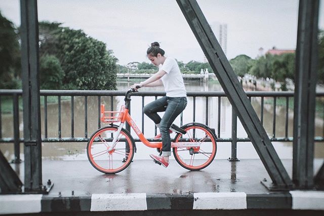 MobikeTH's tweet photo. #adayinchiangmai #mobike #mobikethailand 📸 IG : @jajajrk
ดาวน์โหลดแอพ Mobike >> https://t.co/BUVDev8Xfs https://t.co/sp8VHPsru8