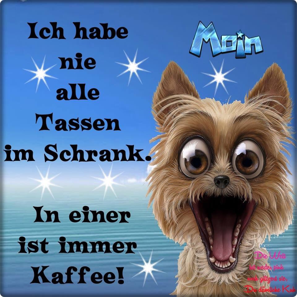 Uzivatel Peter Scheibel Na Twitteru Schonen Dienstagmorgen Liebe Twitter Freunde Habt Einen Schonen Stressfreien Lasst Euch Den Kaffee Schmecken T Co F2tryddh2s