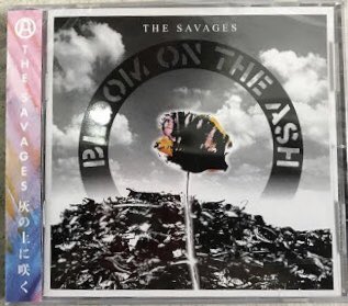 8/19の中野MOONSTEPでのライブの後THE SAVAGESの物販(CD)が入ったトートを失くしてしまいました。画像のトートの中にプラスチックのBOXケースで入れてました。
外に置きっ放しになった可能性もあるので警察に遺失物届けも出してます。関係者にも確認してますが心あたりあったら連絡いただきたいです。