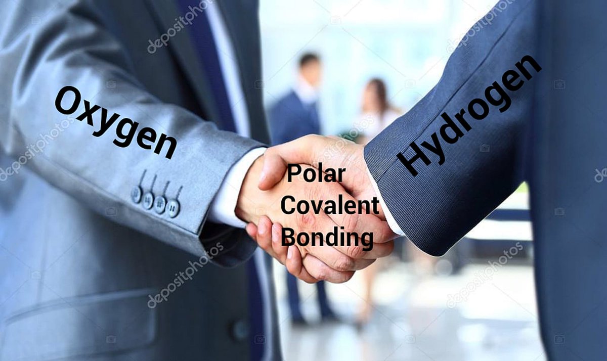 iGEM_Macquarie's tweet image. The strength of covalent bonds 💪💪💪💪Bond with us with #collaboration #igem2018 #synthbio