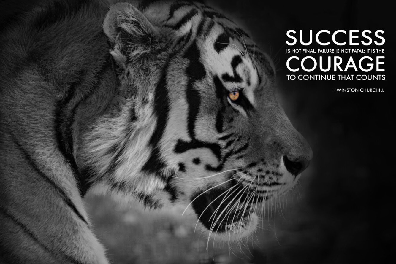 White Tiger Quotes