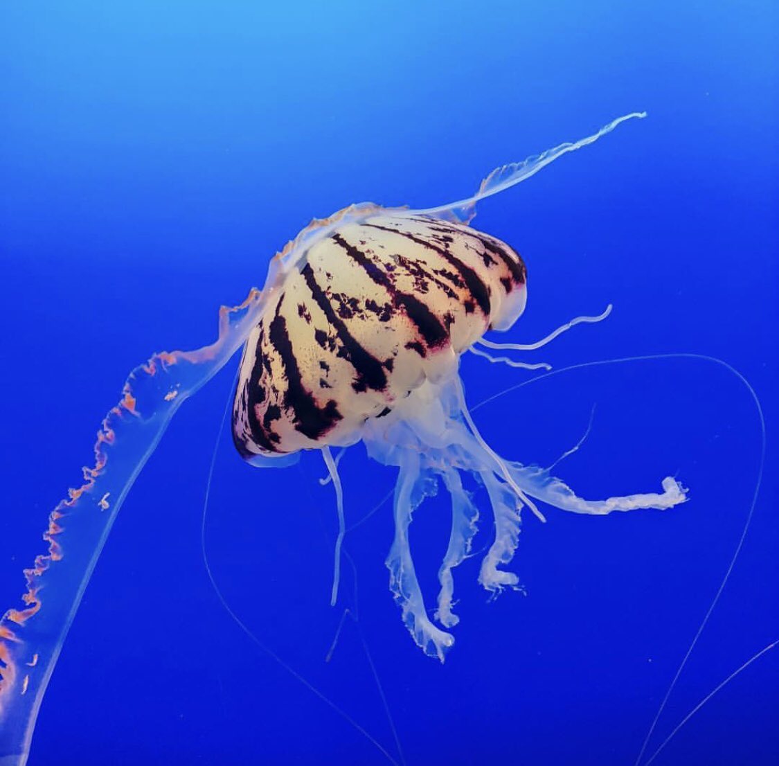 Have you registered? Join us in an hour for our Asia #RegTech webinar and find out how to solve #KYC, #AML &amp; #RegChange for your bank fenergo.com/webinar-apac-c… 

#KYC #AML #RegTech #Banking #Tech #Apac #Singapore #HongKong #FinTech #AsiaBanking #Australia #NewZealand #China