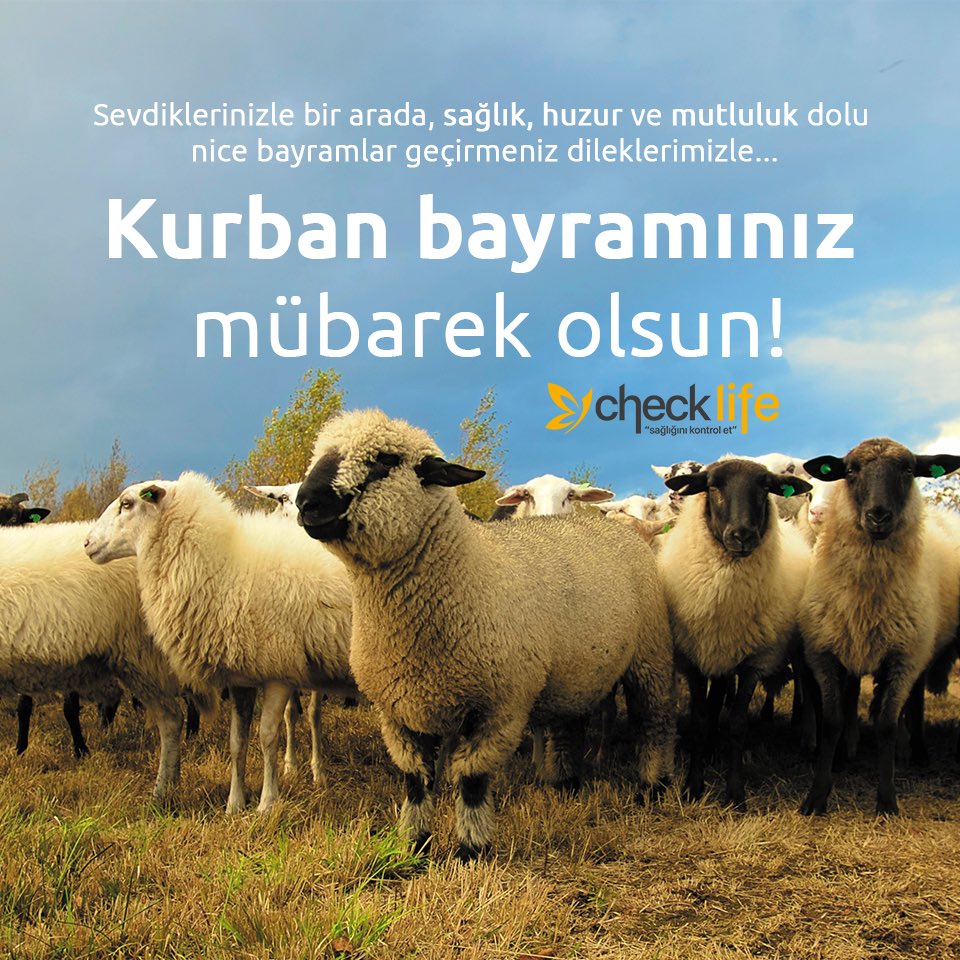 0850 305 50 51 - 0258 911 08 48
checklife.com.tr

#iyibayramlar #sağlık #bayram #sağlığınıkontrolet #kurbanbayramı
#HayırlıBayramlar 
#İyiBayramlar