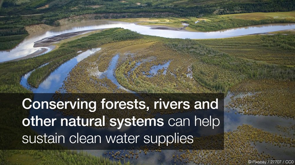 IUCN's tweet photo. Water scarcity affects more than 40% of the world’s population, but nature can help us tackle this global crisis https://t.co/uYx8eJR54p @IUCN_Water https://t.co/VqavGBwPFh