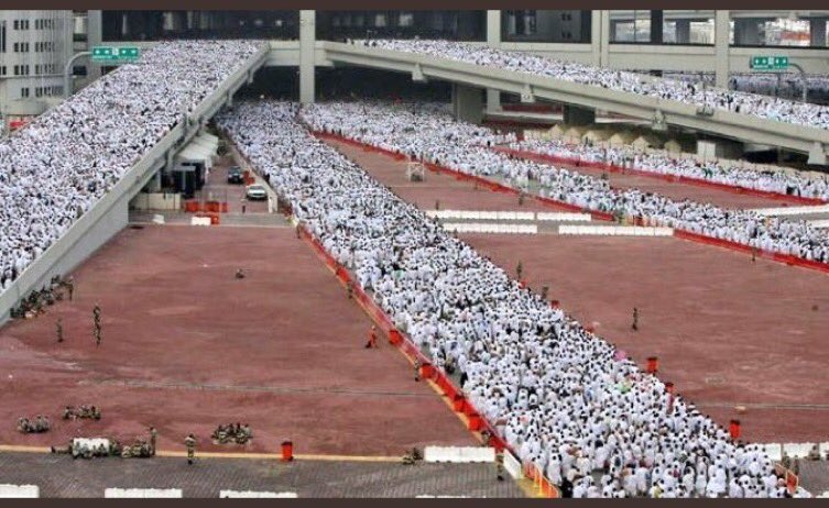 almarieibrahim's tweet photo. ٤٥ جهة حكومية،٢٨٧ ألف مشارك في تقديم ١٩٥ خدمة ل٢ مليون حاج. عمل تكاملي ومنسق بشكل مبهر بين أجهزة الدولة. حفظ الله بلاد الحرمين المملكة العربية السعودية قيادة وحكومة وشعباً. 
المصدر: هيئة الاحصاء السعودية/أول ايام عيد الأضحى/ الساعة ٠٩٢٠ صباحاً.
#العالم_في_قلب_المملكة https://t.co/FJGd3gCXRg