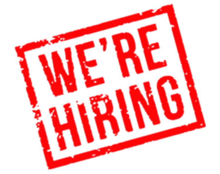 PitchVision SA tweet media