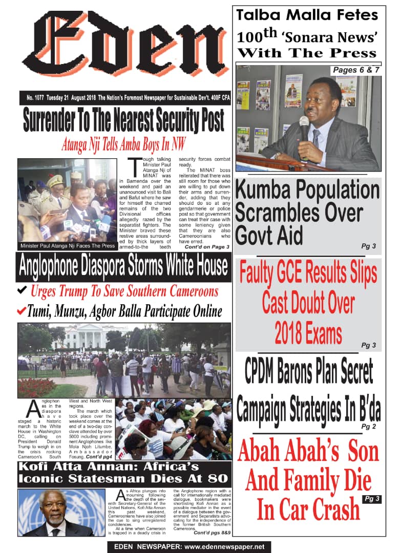 MMI News tweet media