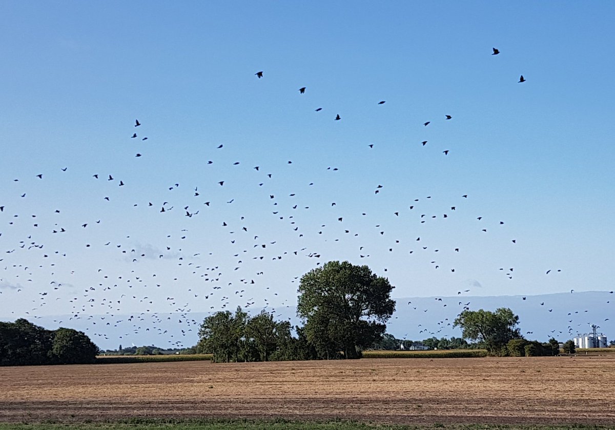 read Arduino: The Ultimate Beginners Guide To