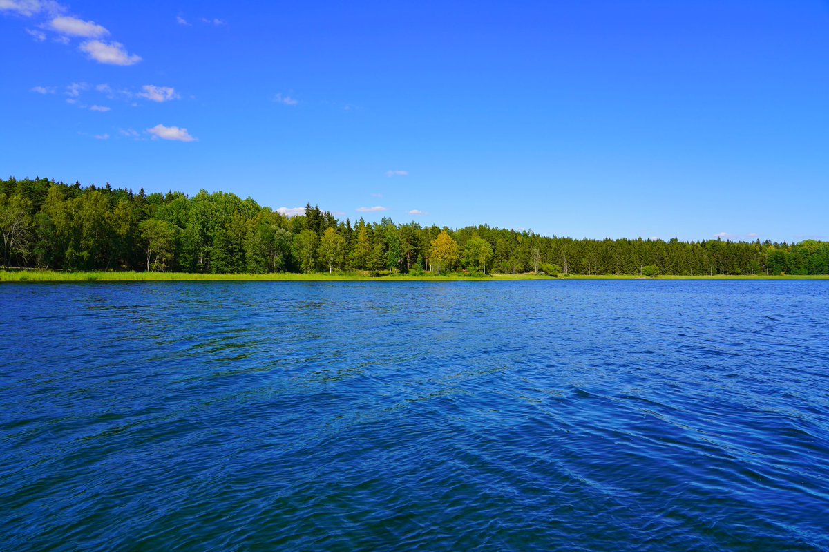 #walkbyshooting #walkbyshootings #photography #SonyA7III #nynäs #tystberga #sweden #södermanland #nynäsbrygga #water #treeline #sea #thebalticsea #balticsea #östersjön #bluesky #blueskies #cloud #swedishcountryside #countryside #nature #naturephotography #naturephoto #nofilter