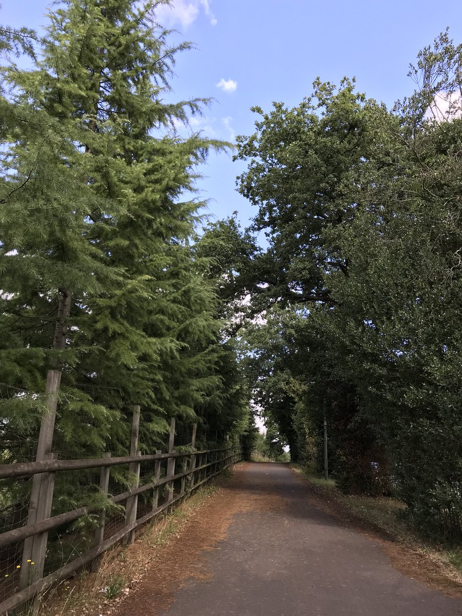 fiholley's tweet photo. 30 min walk to work #NursesActive Itβll be a good step count today! π #NHS1000miles #ASPHgetactive https://t.co/sOPuGexjFZ