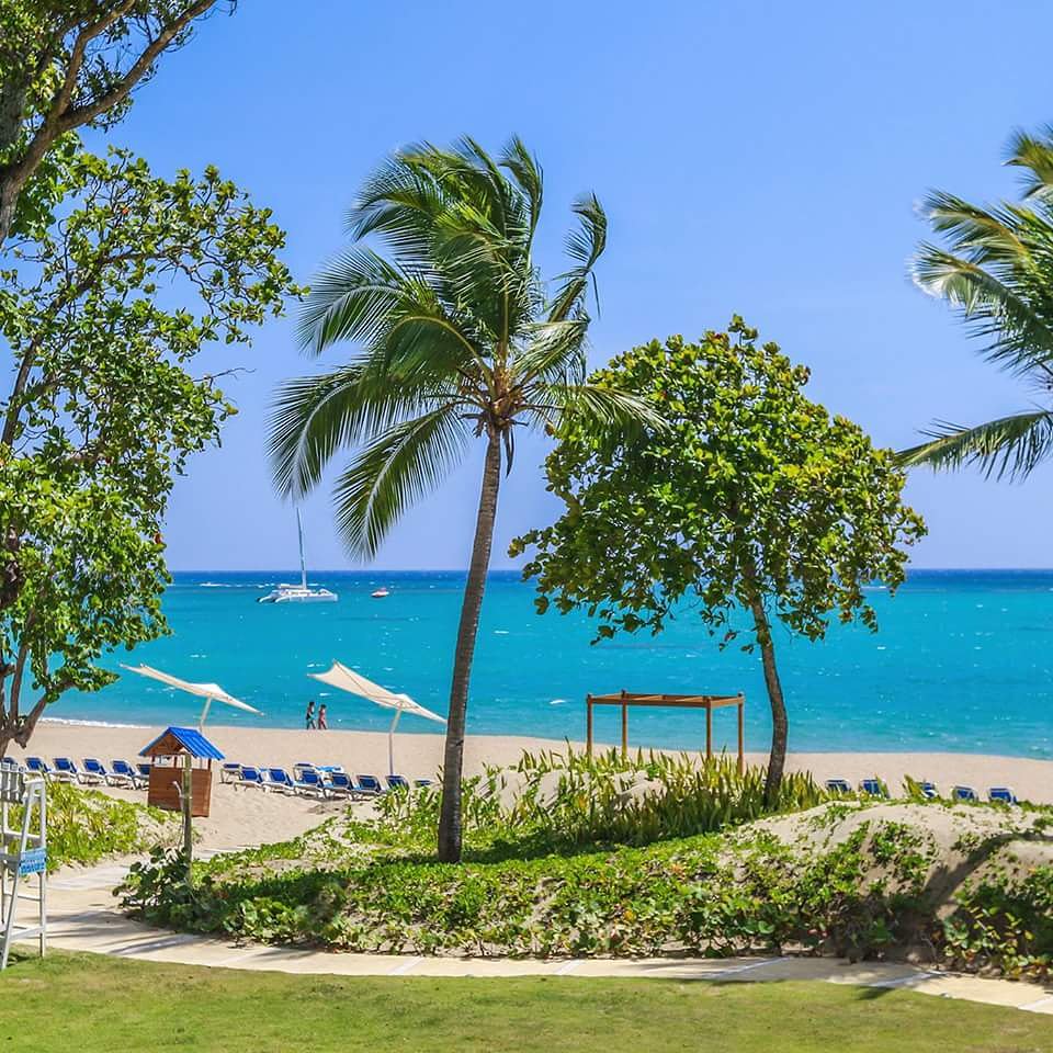 #Caribbean #beachfront aparments for sale and rent