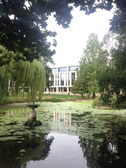 UR_Library's tweet image. When Tuesday mornings are like this...🌾🌳🦆  #libraryviews #greencampus