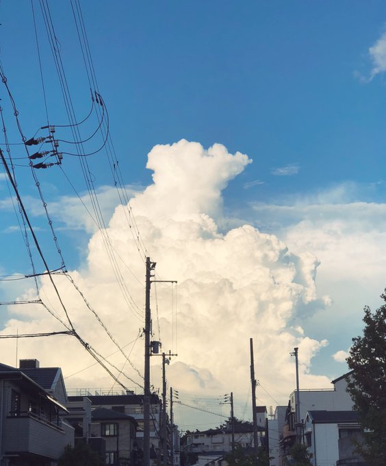 「曇天 電柱」のTwitter画像/イラスト(古い順)