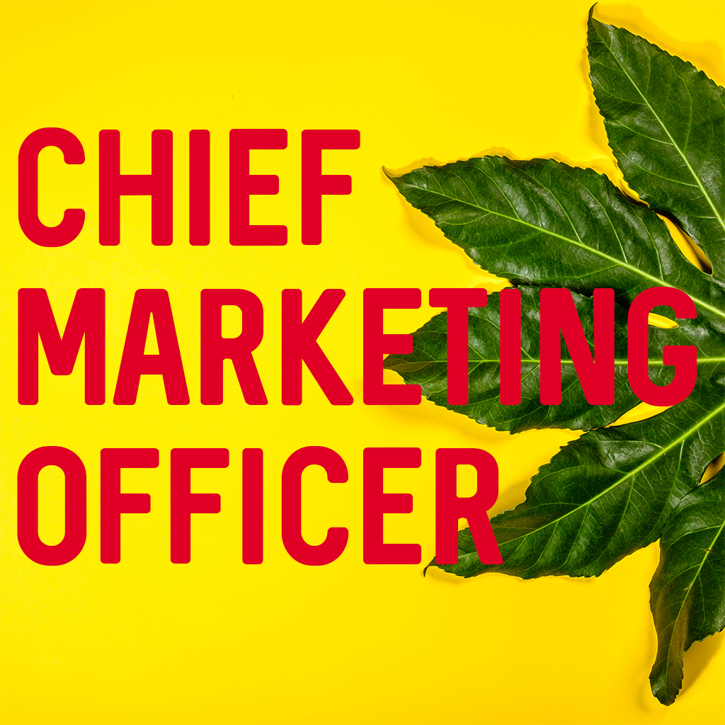 TomorrowJobs's tweet photo. L'heure est grave !

Nous sommes le 21/08/2018 et nous sommes toujours à la recherche d'un Chief Marketing Officer pour une start-up à Lille

Saurez-vous postuler à cette offre ?! https://t.co/YB7ZsmEzhk

#Lille #Marketing #Digital #Startup #Job #Recrutement #Innovation #CMO #Web https://t.co/HhiDlVIUDZ