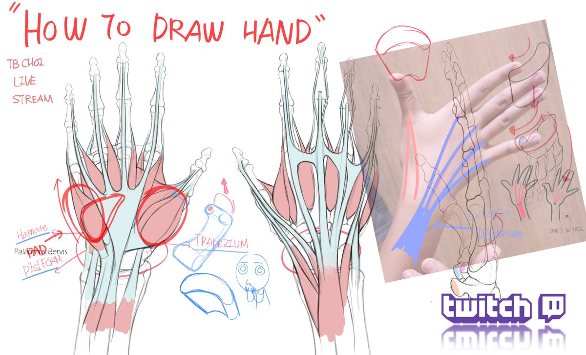 How to draw hand Thank you for watching!!!!!!

https://t.co/n9IT1YfJr9 