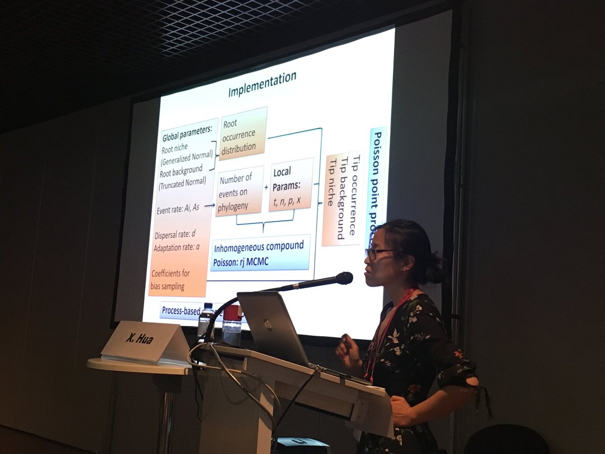 creativity and hci from experience