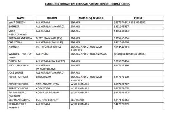 ebook Continuous Advances in Qcd 2006: William I. Fine