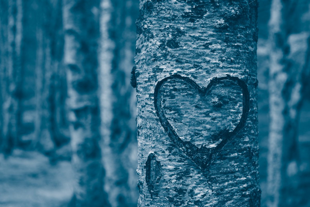 Devyser's tweet photo. An expert panel has promoted genetic testing for Familial Hypercholesterolemia (FH) as a standard of care. As outlined in a recent article (Sturm et al 2018), this common and potentially fatal condition is treatable, but vastly underdiagnosed. https://t.co/IdSyPAIumR https://t.co/dm7BX2YnQz