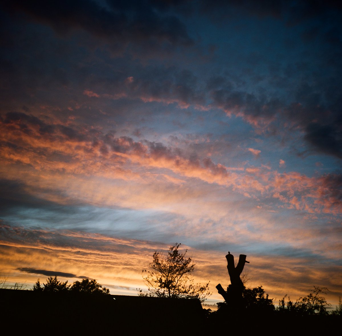 First one for <a href="/PortraParty/">#PORTRAparty</a> post week 😀
#PortraParty #funkyaf because of the colours 🌇
🎞️Portra 400
📷Yashicamat 124G