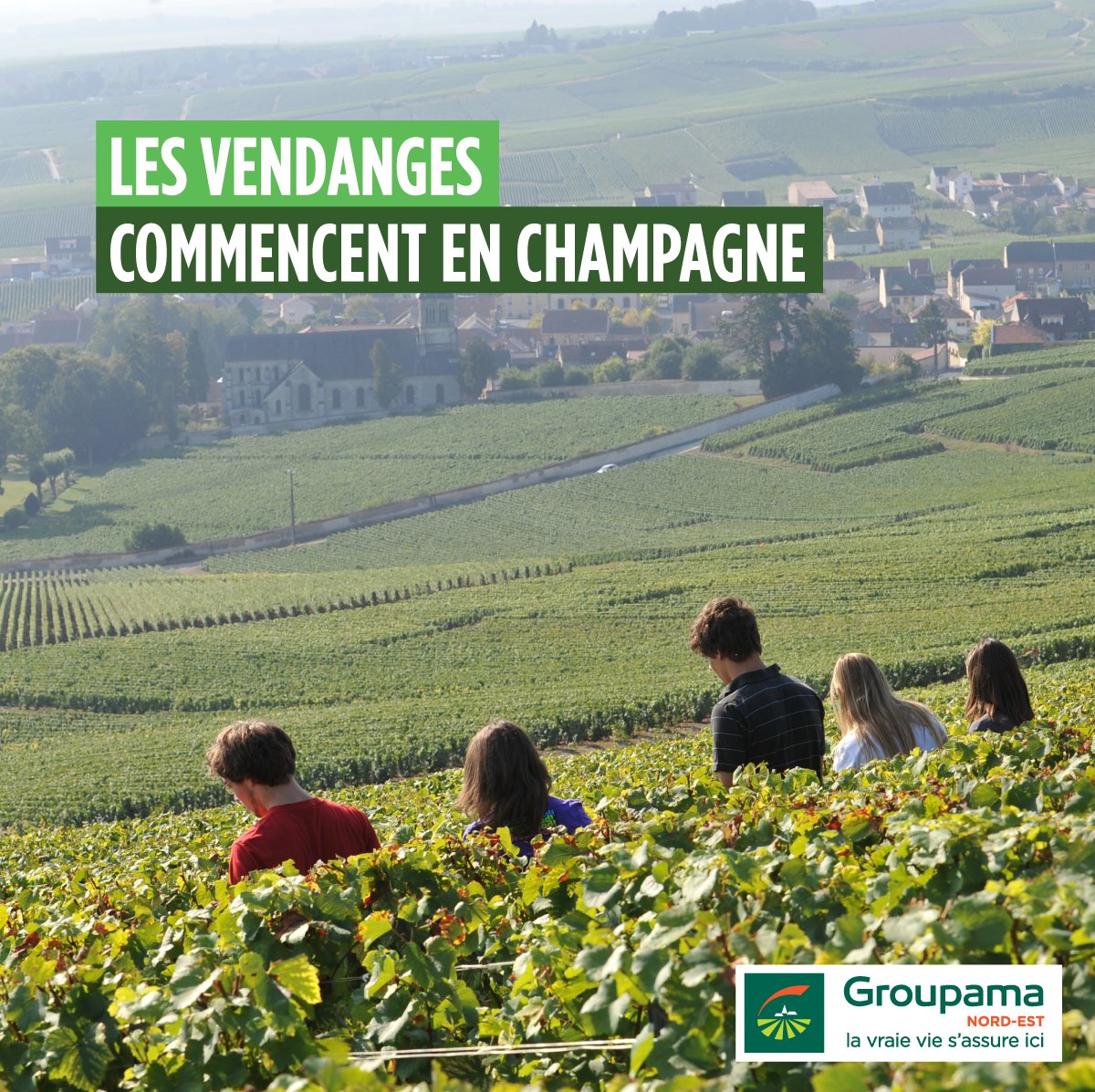 GroupamaNordEst's tweet photo. Nous souhaitons de bonnes vendanges à tous les acteurs de la #Champagne ! Une année qui s'annonce particulièrement belle pour notre région. #Territoire #Proximité #vendanges2018 #Marne #Aisne #Aube 🍇🍾 https://t.co/zqGW1qAF7R