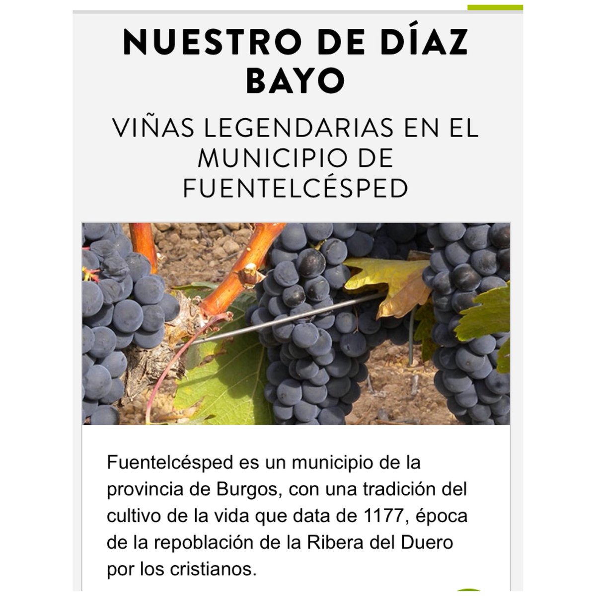 #DIAZBAYO 
 “#MARQUES D TOMARES” #Familia Montaña..#vinosderioja🍷 #premiumfincas #premiumvino
 #winelife #winery #winecountry #vinos  #winetime #winery #bodegas 
#monteleiva #tempranillo 
#redwine 🍷#PREMIUMFINCAS”
———————————————-- -#nuestro #donroman - #crianza #joven #excelen