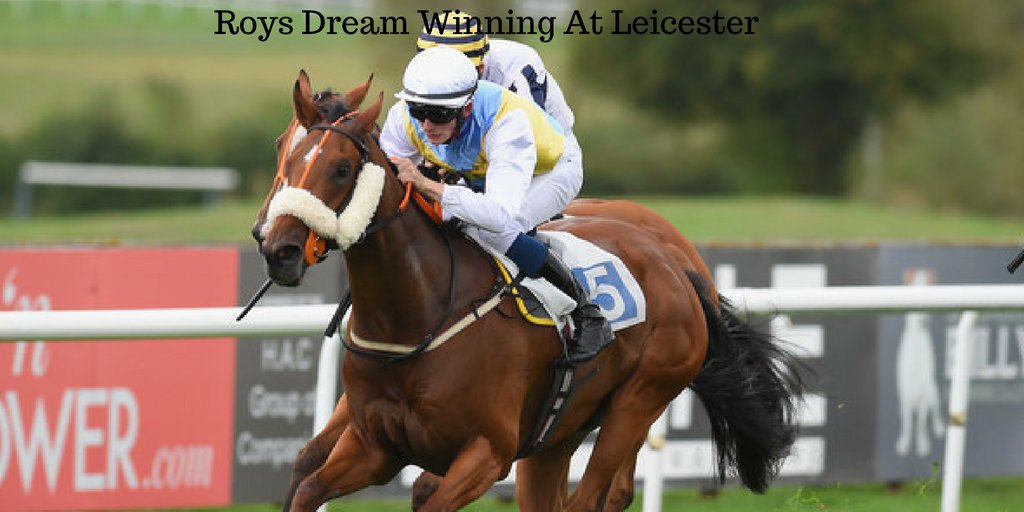 PCollinsRacing's tweet photo. Great Day Team Collins, Become Part Of A Winning Team Today https://t.co/L4kGPLqYcg
 @LeicesterRaces  Winner Roys Dream Jockey @Paddyv98 https://t.co/v1LAJcWecv