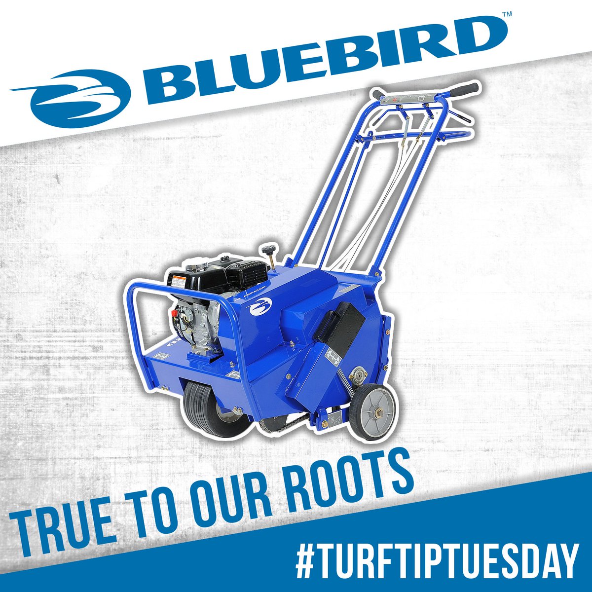 The best time to water your lawn is in the late evening or early morning. It is generally less windy, more humid, and cooler at these times of day – resulting in more efficient use of water. #TurfTipTuesday ow.ly/yRHw30li131