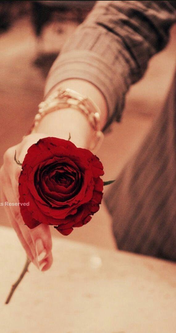 Jna_9_ty's tweet photo. @EidRiq @Semo_Alamer 🦋
تبقى الحروف حروفاً

حتى نبعثها لمن نحب بصدق 

فتُبعث فيها الحياة لتلامس الأفئدة الصادقة

فشعورنا بالحب ليس للكلمة
ولكن لمن نحبهم نبعث لهم من اعماق القلب 
أصدق الشعور وأسمى التهاني بعيد الأضحى المبارك

#عيدكم_مبارك 

وكل عام وانتم بخير

#قروب_رتويت_العراق 
#جناتي https://t.co/QvqxFWrcgk