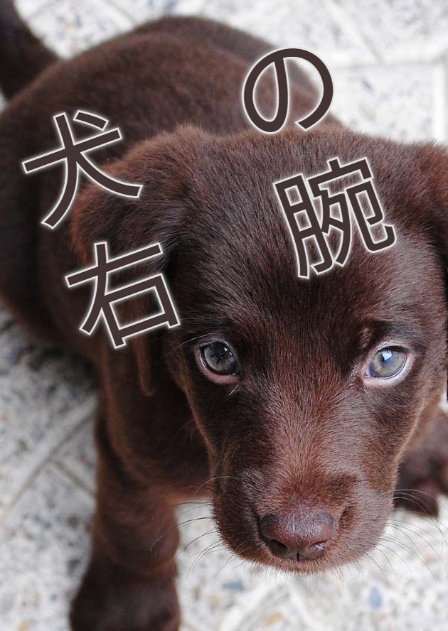 おにぎり１０００米 固定用続き R18 Bl 完結 犬の右腕 犬と人のほのぼの現代ファンタジー 社会人 人外 モフモフ 変身モノ 少し３pあり注意 T Co Z6unmoviur Narou Naroun4554et T Co K9opby8yth エブリスタ Ss名刺の