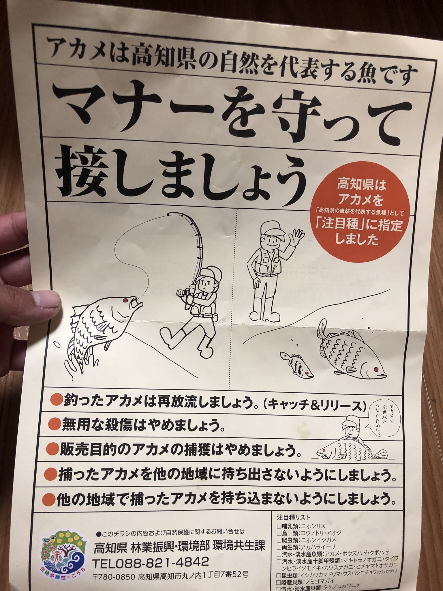 ほせお 山﨑純典 釣り垢 56seabowz マナー違反です 笑 高知が今アカメ釣りできるのは地元の方々の凄まじい努力がありますからねー O 高知も宮崎同様禁止になる寸前でアングラーが県を動かしたという 平成18年の出来事です リアルに放流目的で