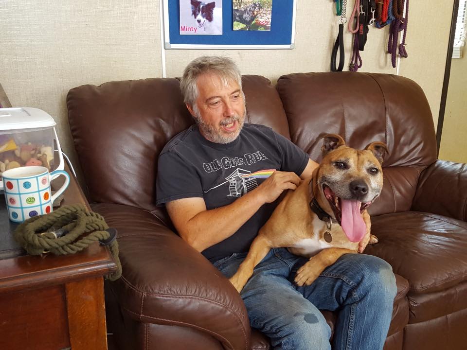 Harrison needs a home of his own. Please phone 07708 589792 for more info. 
#lincolnshire #bourne #dogrescue #dog #dogs #adoptadog #adoptdontshop #rescuedog #staffy #staffylove #staffordshirebullterrier #staffymoments  #staffylife #staffyobsessed #staffydaily #st  #rescue_factor